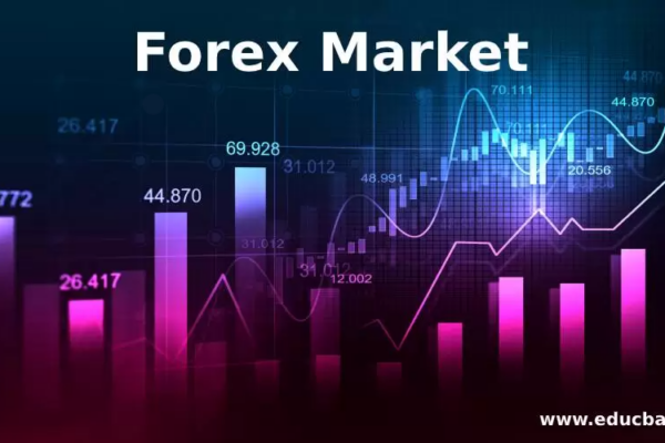 Обзор компании Forex Market: можно ли ей доверять?