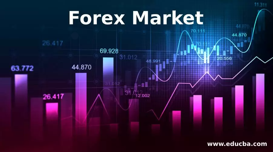 Обзор компании Forex Market: можно ли ей доверять?